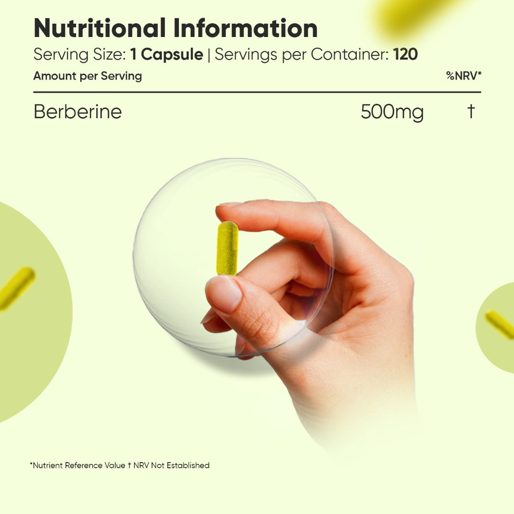 Pure Berberine Capsules | 500mg 120 Capsules
