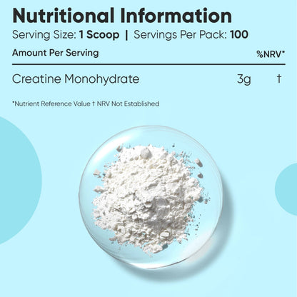 Creatine Monohydrate Micronised Powder | 3g Dose, 300g