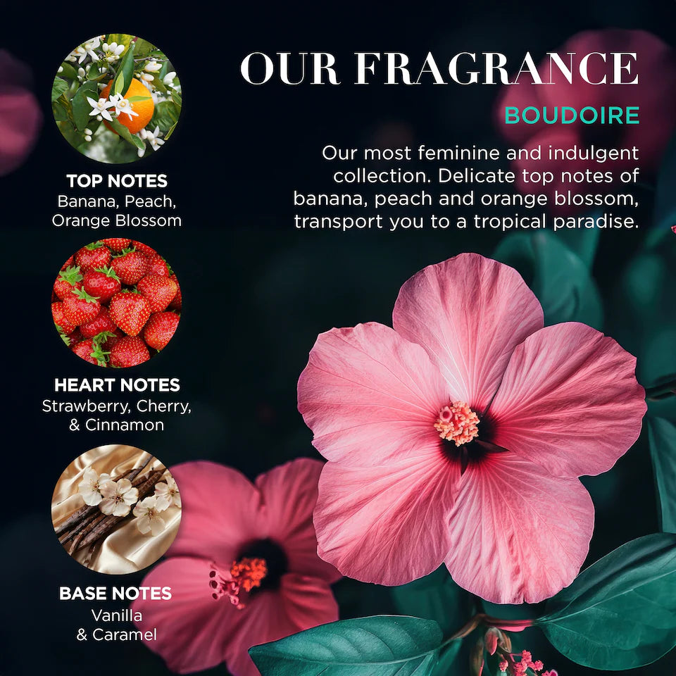 BAYLIS & HARDING BOUDOIRE DISCOVERY GIFT SET