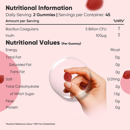 Probiotic Gummies | 5 Billion CFU 90 Gummies